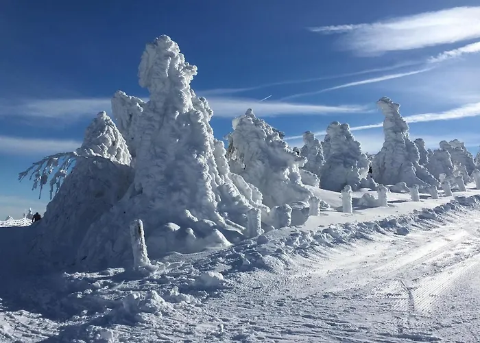 DIREKT AM SKIHANG! Müller Ferienwohnungen