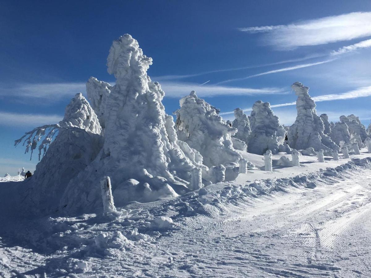 Apartment Direkt Am Skihang! Mueller